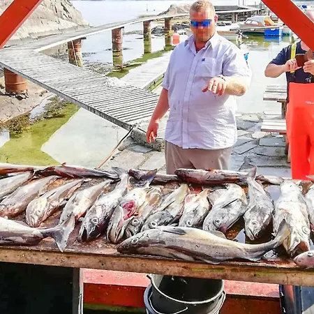 Ferienhaus Lovely In Hatlestrand With Kitchen
