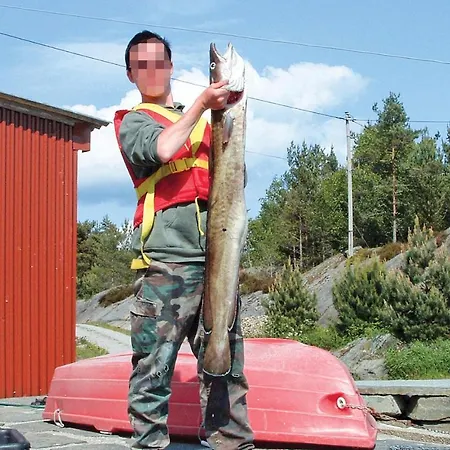 Lovely In Hatlestrand With Kitchen Ferienhaus